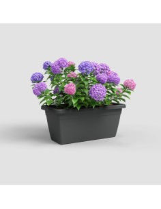 Jardinera Venezia XL 80cm Antracita - Diseño Elegante y Resistente para tu Jardín 2