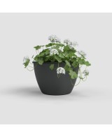 Maceta Algarve Pared 30cm Antracita - Decoración Vertical Elegante y Resistente