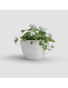Maceta Algarve Pared 30cm Blanco - Decoración Funcional para Jardines Verticales y Terrazas 2