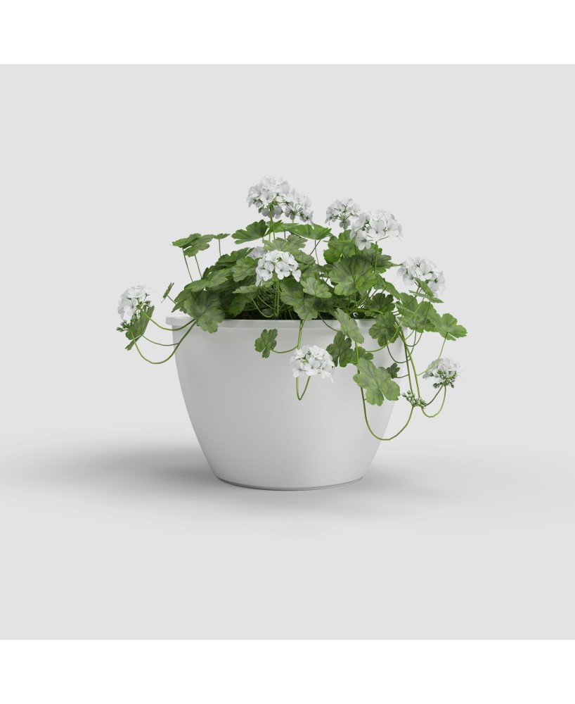 Maceta Algarve Pared 30cm Blanco - Decoración Funcional para Jardines Verticales y Terrazas
