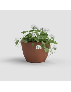 Maceta Algarve Pared 30cm Terracota - Ideal para Jardines Verticales, Terrazas y Balcones 2