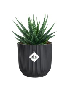 MACETA VIBES FOLD REDONDA MINI 7CM ANTRACITA 2