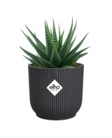 MACETA VIBES FOLD REDONDA MINI 7CM ANTRACITA