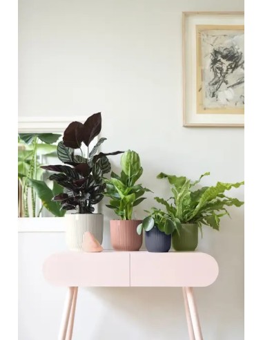 MACETA VIBES FOLD REDONDA MINI 7CM ANTRACITA