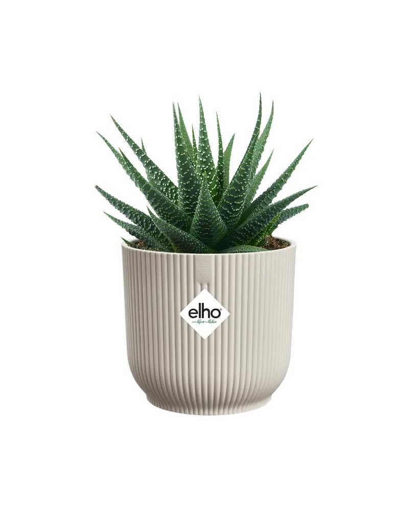 MACETA VIBES FOLD REDONDA MINI 7CM BLANCO LINO