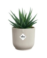 MACETA VIBES FOLD REDONDA MINI 7CM BLANCO LINO