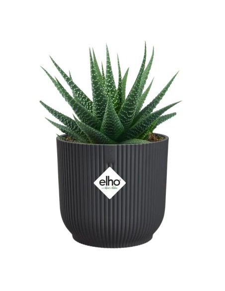 MACETA VIBES FOLD REDONDA MINI 9CM ANTRACITA