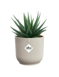 MACETA VIBES FOLD REDONDA MINI 9CM BLANCO LINO 2