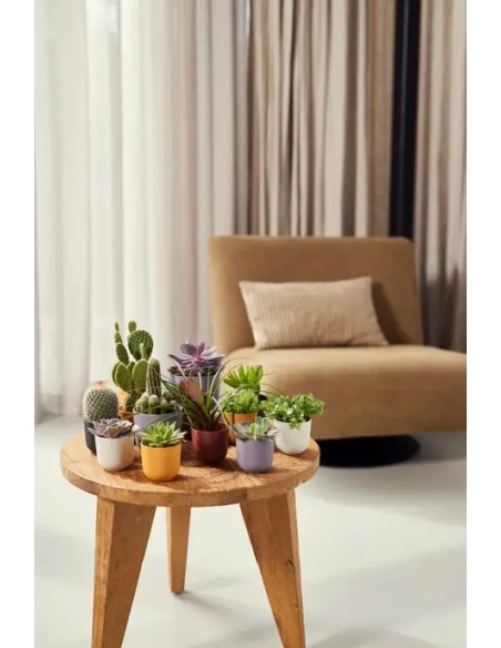 MACETA JAZZ REDONDA MINI 7CM BLANCO SEDA