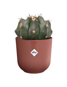 MACETA JAZZ REDONDA MINI 7CM ROJO TOSCANA 2