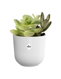 MACETA JAZZ REDONDA MINI 9CM BLANCO 2