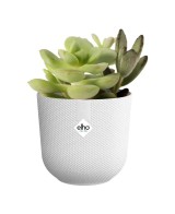 MACETA JAZZ REDONDA MINI 9CM BLANCO