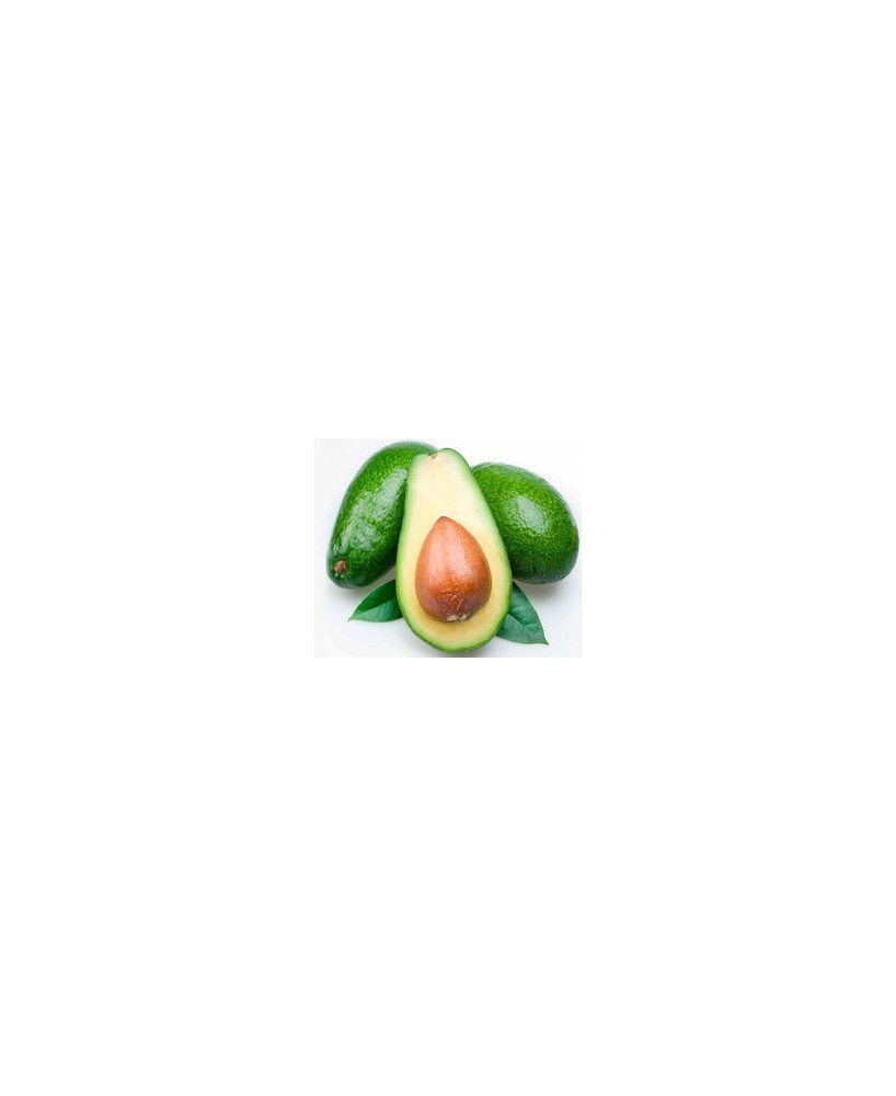 AGUACATE FUERTE