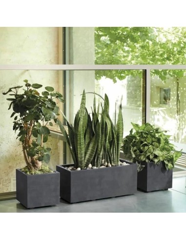 MACETA CUBO MILLENIUM RA 49CM ANTRACITA