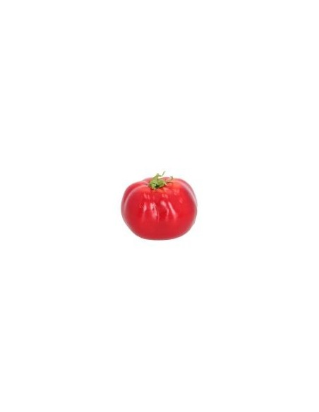 TOMATE