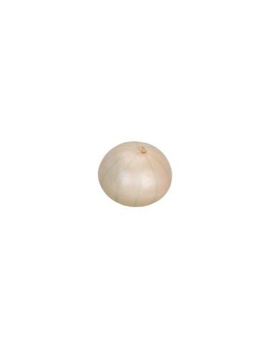 CEBOLLA