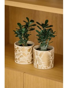 LEAF 2 14X13CM CREMA 2