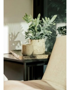 HA LLE 16X15CM CREMA 2