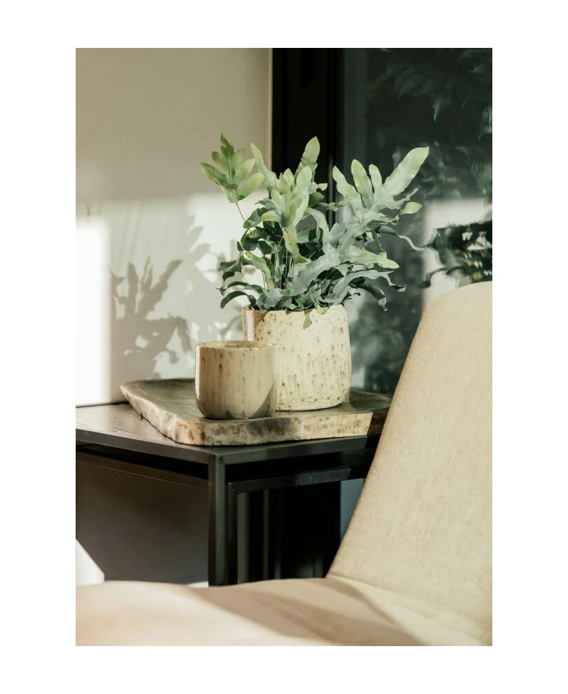 MACETA HALLE 16X15CM CREMA