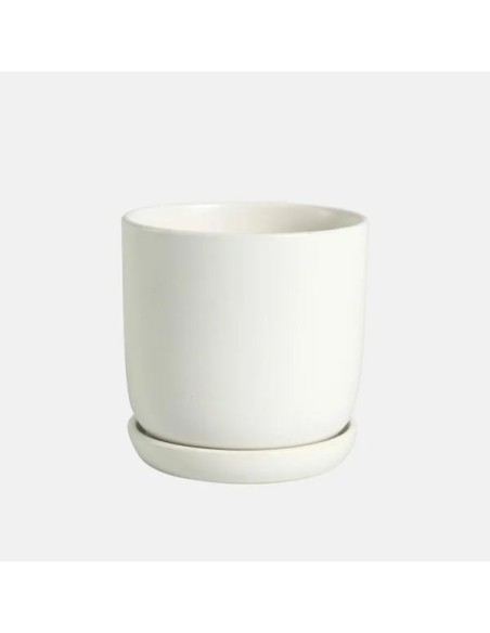 CUNEO+PLATO 17X16CM BLANCO