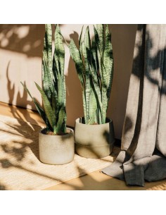 GORAL 20X20CM MIXTO 2