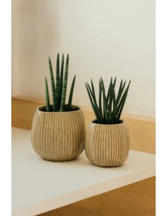 ACRA 15X14CM VERDE 2