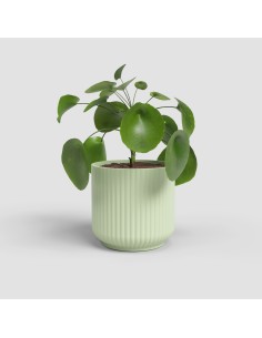 MACETA LUNA 12CM MA VERDE CLARO