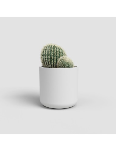 MACETA JUNO CACTUS 9CM MA BLANCO