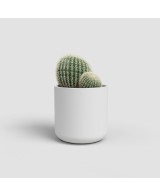 MACETA JUNO CACTUS 9CM MA BLANCO