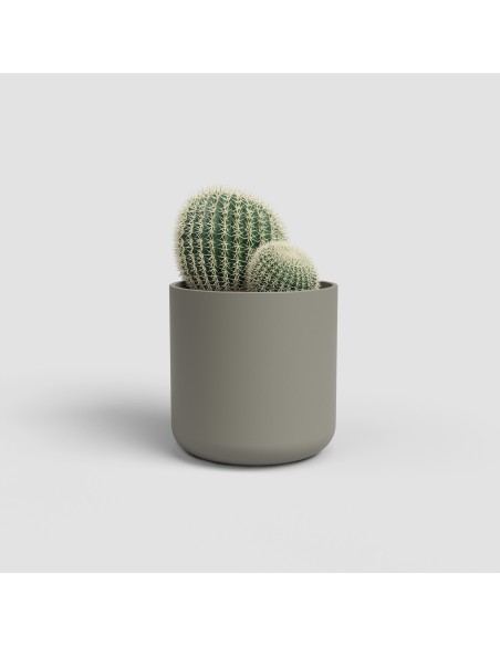 MACETA JUNO CACTUS 7CM MA TOPO