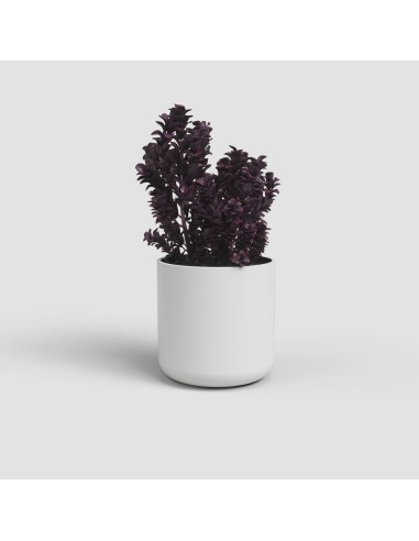 MACETA JUNO 19CM MA BLANCO