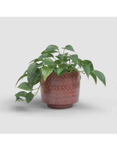 MACETA MINERVA 28CM VD ROJO