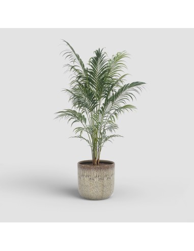 MACETA MELISSA 21CM VD BEIGE TOPO