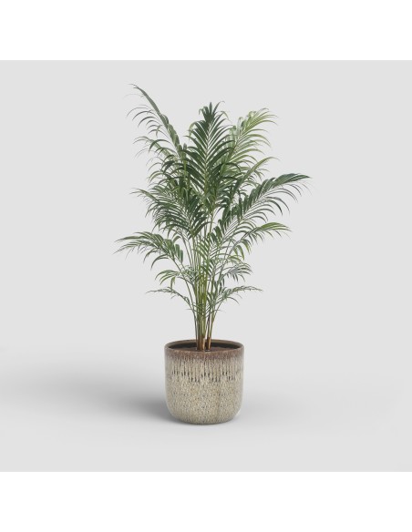 MACETA MELISSA 21CM VD BEIGE TOPO