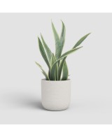 MACETA ATLAS 25CM MA CREMA
