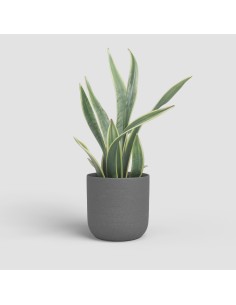 MACETA ATLAS 20CM MA ANTRACITA 2