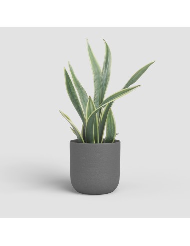 MACETA ATLAS 20CM MA ANTRACITA