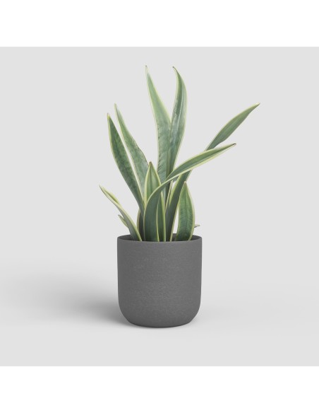 MACETA ATLAS 20CM MA ANTRACITA