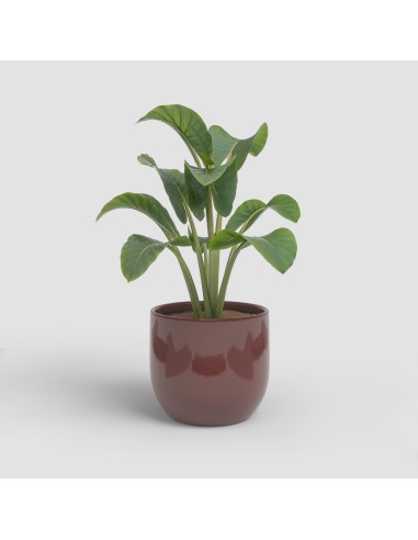 MACETA ARCADIA 26CM VD ROJO OSCURO