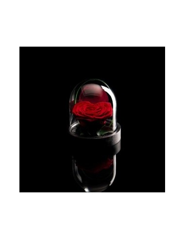 ROSA INCANTATA A CUORE PERFUMATA H10CM ROJA