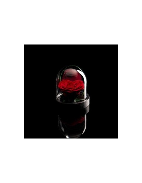 ROSA INCANTATA A CUORE PERFUMATA H10CM ROJA