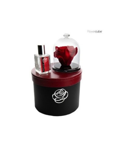 GIFT BLACK BOX DIAMOND ENCHANTED ROSE 10CM ROJO
