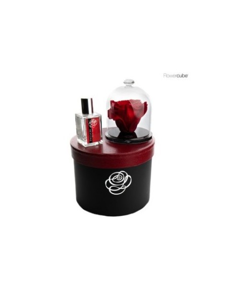 GIFT BLACK BOX DIAMOND ENCHANTED ROSE 10CM ROJO