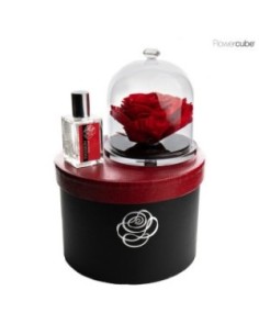 GIFT BLACK BOX DIAMOND ENCHANTED ROSE 14 CM