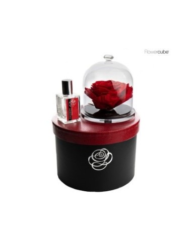 GIFT BLACK BOX DIAMOND ENCHANTED ROSE 14 CM