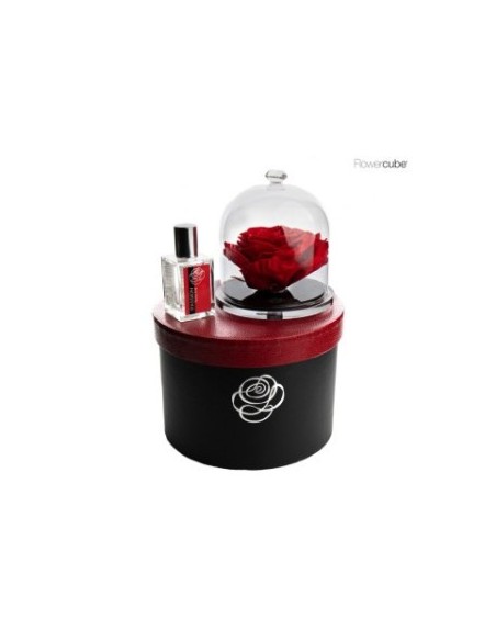 GIFT BLACK BOX DIAMOND ENCHANTED ROSE 14 CM