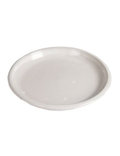 PLATO VIDRIADO BLANCO 45X5.5