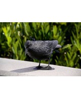 Cuervo Espantapájaros Stocker  Protección Decorativa para Jardín y Huerto

