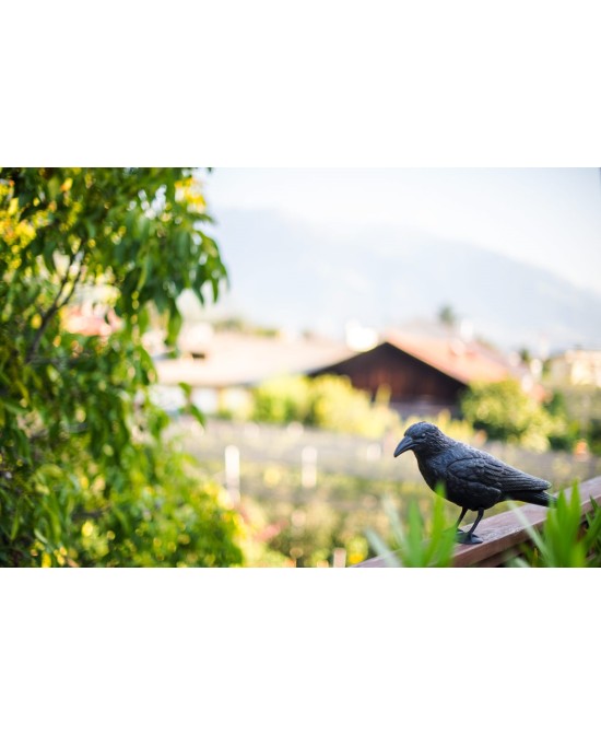 Cuervo Espantapájaros Stocker  Protección Decorativa para Jardín y Huerto

