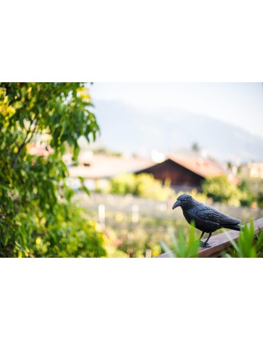 Cuervo Espantapájaros Stocker  Protección Decorativa para Jardín y Huerto


